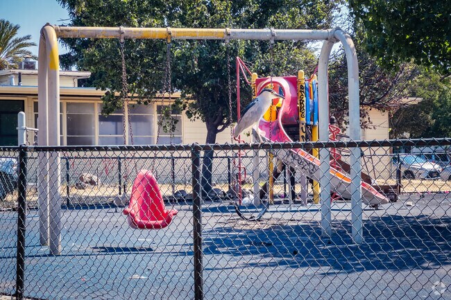 Clinton Square in Peralta-Laney, Oakland, CA has many local wildliffe.