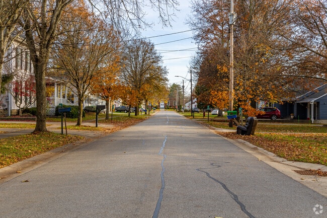 Holland's residential streets are spacious and lined with trees.