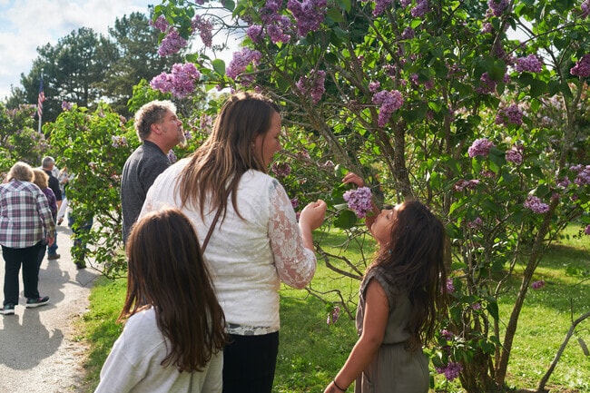 The Rochester Lilac Festival is hosted annually in early to mid May in Highland Park.