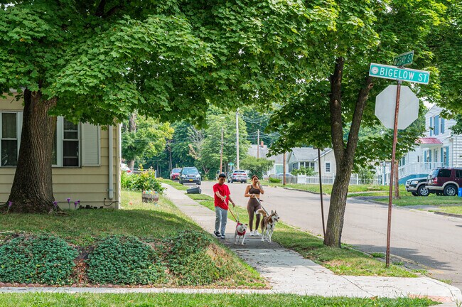 Eastside Binghamton is a safe neighborhood and locals enjoy walking dogs.