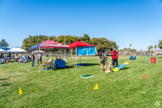 Dog trainers are on site at Barktoberfest to guide dogs through the obstacle course.