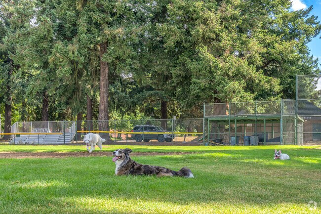 Pups will enjoy playing at Mill Plain Park in the Hudson's Bay neighborhood.