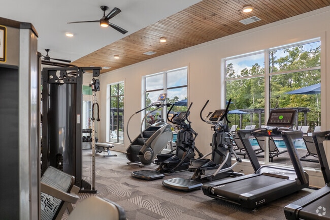 Avant at Midlothian, Midlothian, VA 23114 - photo 7