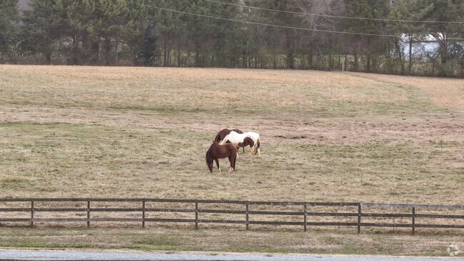 Residents in Union County enjoy a laid-back yet vibrant lifestyle.