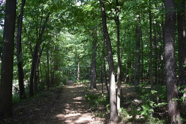 Walking Trails
