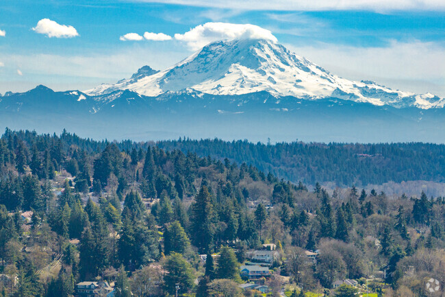 Catch incredible views of Mt. Rainier from all over The Lakes area.