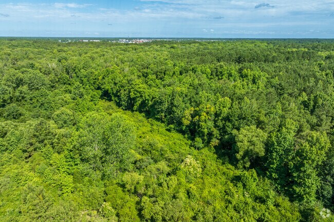The Socastee Swamp is a preserved sanctuary next to Forestbrook with diverse wildlife.