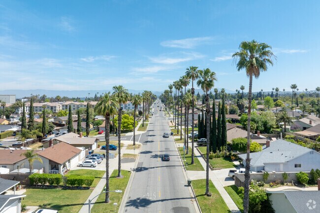 A look down a typical street in the Arlington South neighborhood.