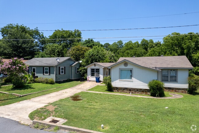 A row of traditional Levy homes.