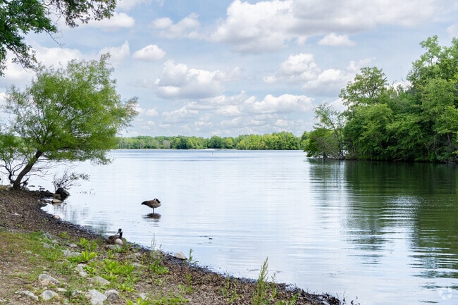 The 1,000-acre East Fork Lake in Olney is ideal for summer recreation and bird watching.