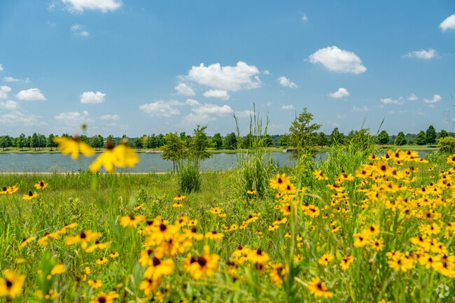 Located near Poplar Pines, you can take in the natural beauty that is Shelby Farms.