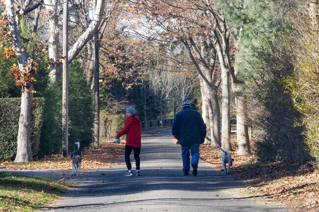 Enjoy the fresh air in Remsenburg-Speonk.