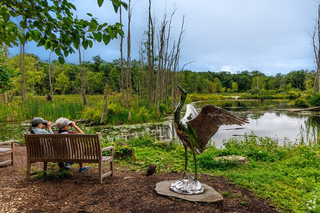 People from all over come to the Wilson Trail in Northeast Ithaca to watch birds.