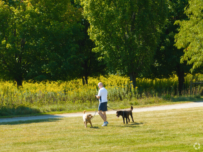 Canterbury Park is a wonderful public space to walk your dogs.