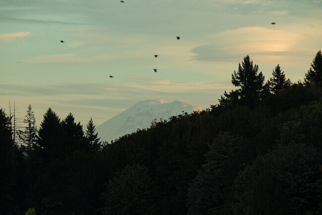 13211 NE 127th Way unit C, Kirkland, WA 98034 - photo 2