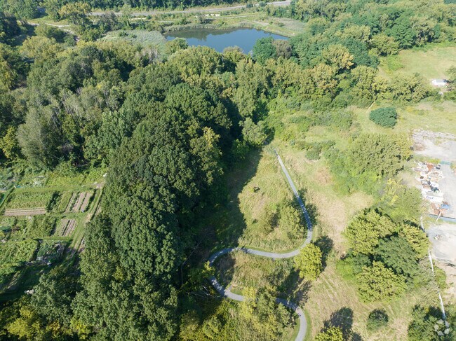 A lovely winding path goes through Tivoli Lake Preserve.