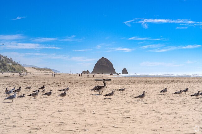 Cannon Beach is home to a wide variety of birds.