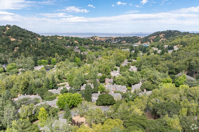 You will find condos in the wooded hills of the Ignacio neighborhood.