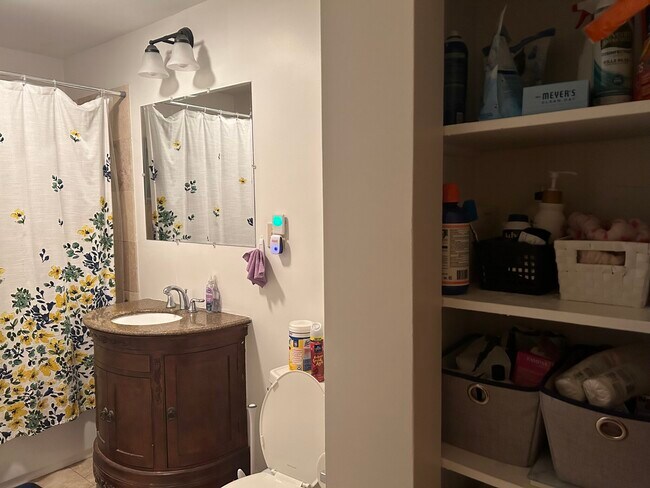 43 Selkirk Rd unit 2, Brighton, MA 02135 - photo 3