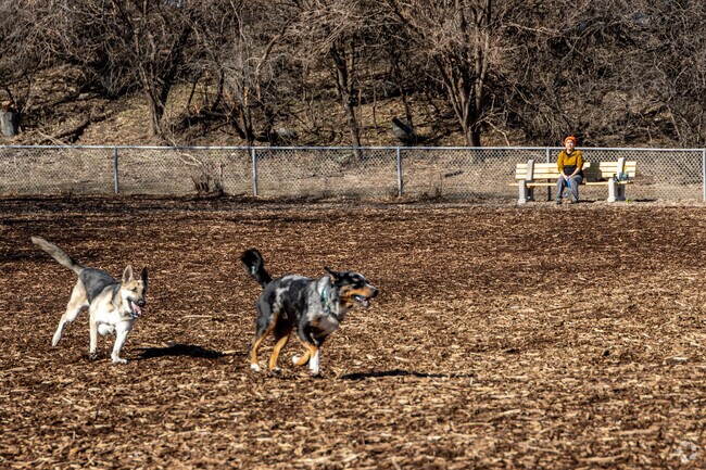Franklin Off Leash Dog Park also has benches so you can relax while your dog runs.