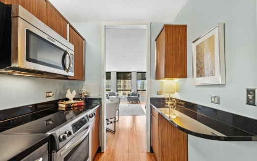 Plaza on Dewitt unit 3303, Chicago, IL 60611 - photo 7