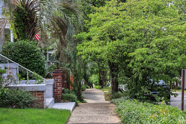 Lush green trees provided needed shade in Elmwood Park of Columbia.