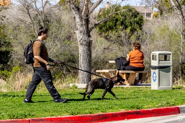Locals love walking their dog at Buena Vista Park in Shadowridge.