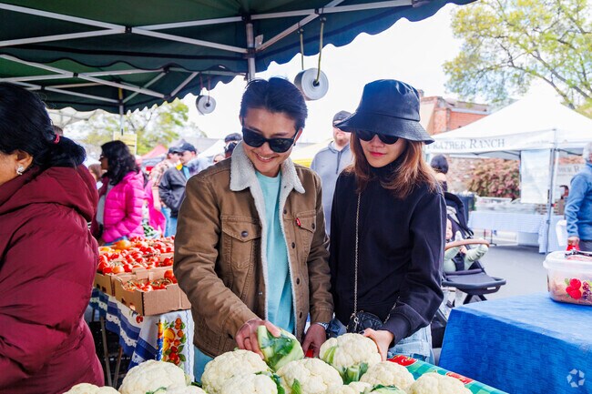 Sunday Farmers' Market brings local treats and community charm close to Summerset.