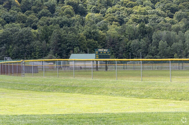 Student enjoy access to ball fields at Forest Hills Junior/Senior High School.