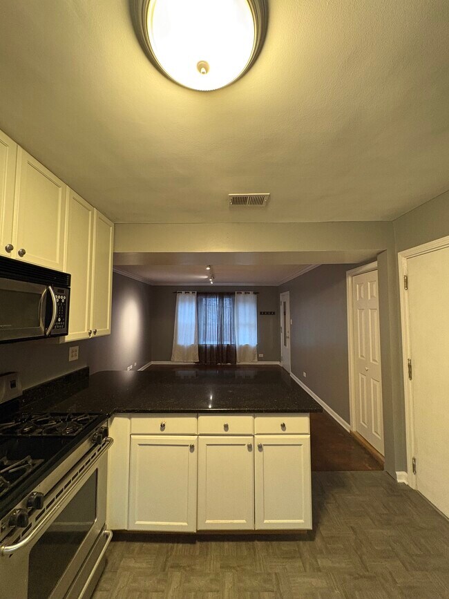 129 Elmwood Ave unit 2S, Evanston, IL 60202 - photo 2