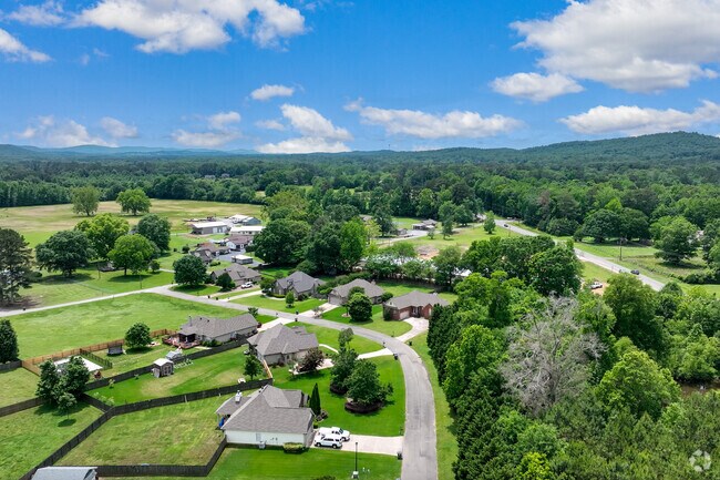 Meandering roads course through the Odenville neighborhood landscape.