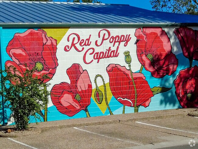 Georgetown is the red poppy capital of Texas.