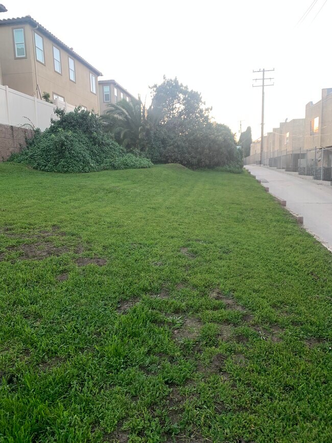 26025 Cypress St unit 2, Lomita, CA 90717 - photo 4