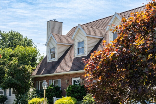 Dormers of Cape Cod homes poke up above trees across Swoyersville.