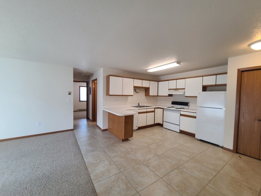 Green On 10th, Fargo, ND 58103 - photo 1