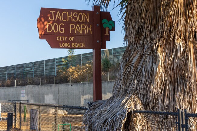 Jackson Dog Park is a place to let your dog meet other dogs and play.