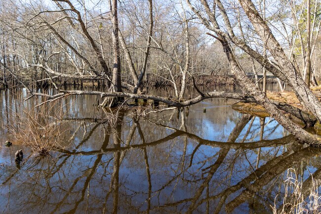Lumberton got its start in the late 1700s as a shipping point for lumber being guided down the river to Georgetown, SC.
