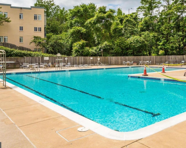 The Olympus unit 101, Alexandria, VA 22304 - photo 7