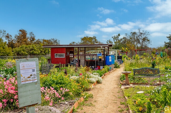 Ocean Beach Community Garden sits on the edge of Ocean Beach and Point Loma Heights.