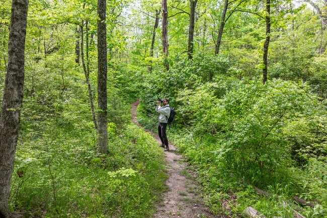 Bulls Run Arboretum, nestled in El Dorado-Williamsdale, is a favorite of bird watchers and hikers.