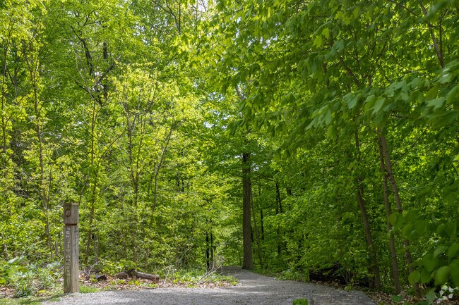 The Barred Owl Trail is one of the many trails in Burnet Woods near Corryville.