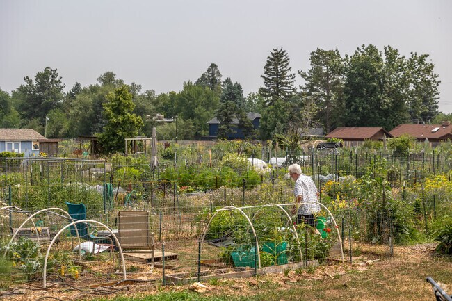 Community gardens in Central Boulder offer a serene place to grow and nurture plants.