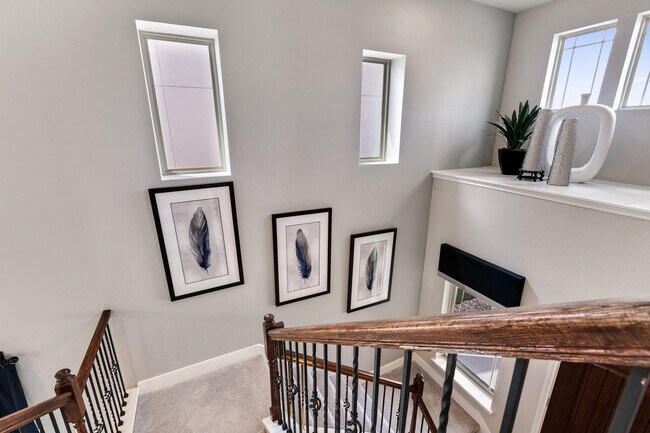 758 Billowing Way, Kyle, TX 78640 - photo 5