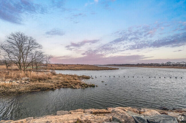 Spring Creek is a 237 acre site of undeveloped forest, wetland and marsh in the Howard Beach.
