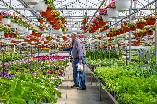 Abele Greenhouse has rows of flowers for Northeast gardeners to peruse.