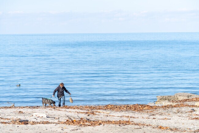 Strolls along the bay are a great way to explore the city.