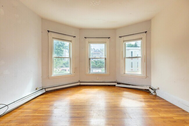 60 Hillside St unit 3, Roxbury Crossing, MA 02120 - photo 6