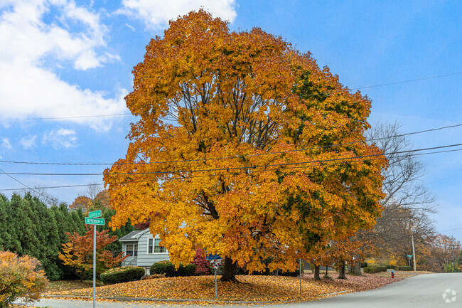 The village of Colonial Heights blooms during the fall with stunning colored trees.