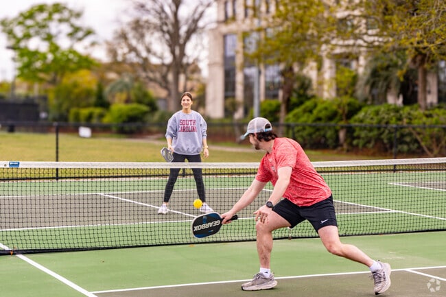 Play picklet ball in Harleston Village at Moultrie Park.