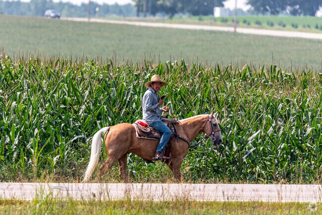 Almost half of Afton is devoted to scenic farmland.